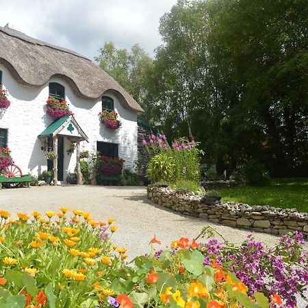 Lissyclearig Thatched Cottage Kenmare Buitenkant foto