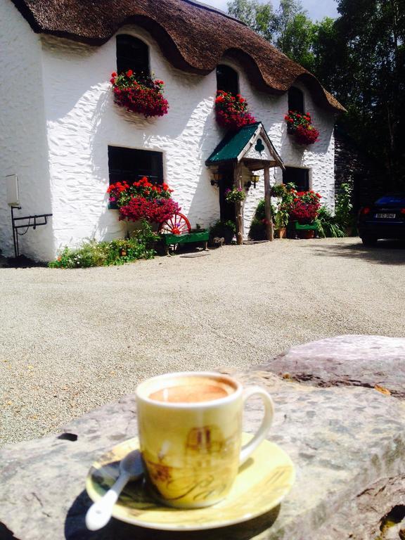 Lissyclearig Thatched Cottage Kenmare Buitenkant foto